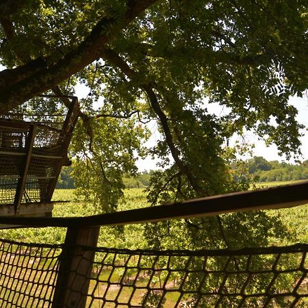 Cabanes De La Romaningue Pompignac Zewnętrze zdjęcie