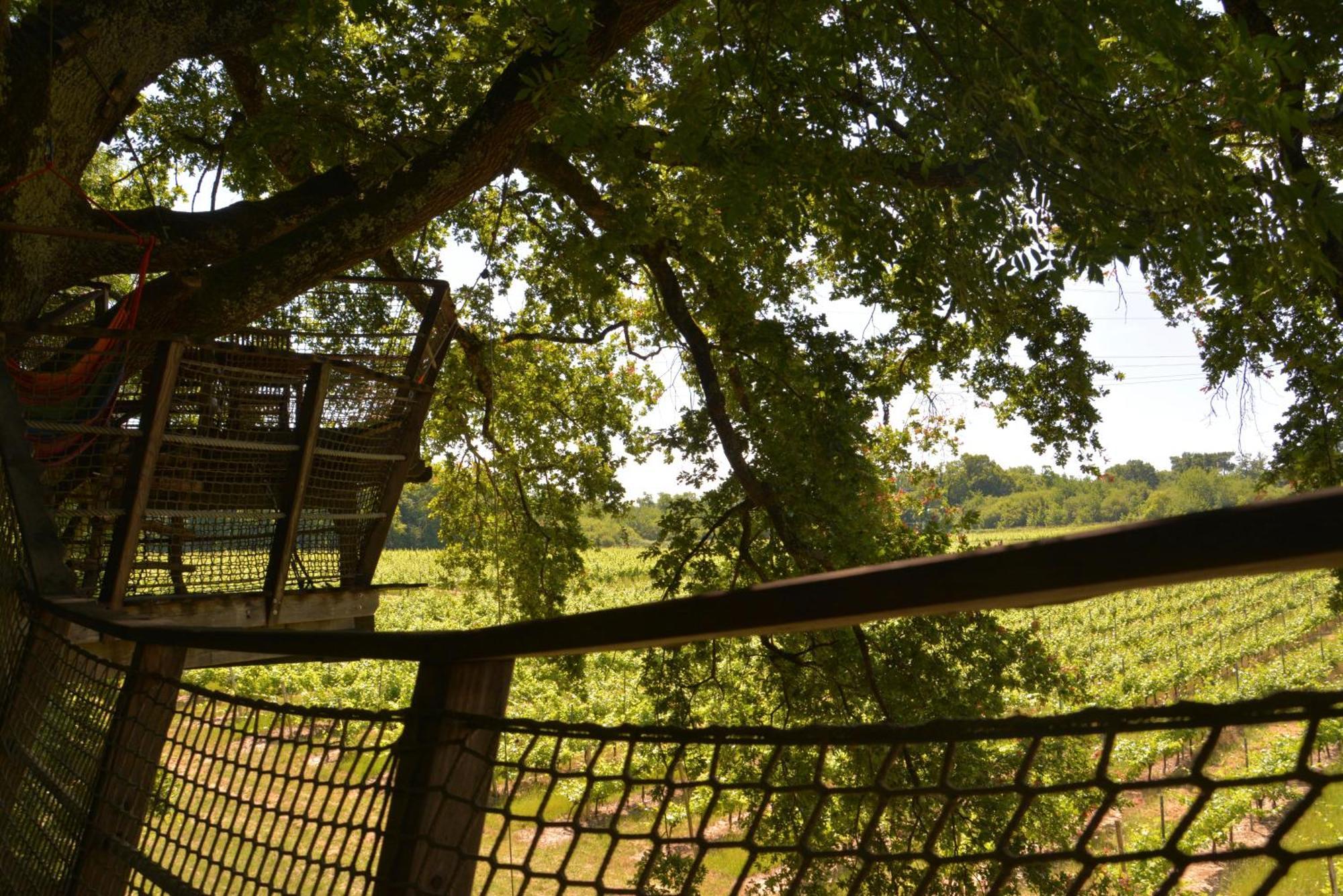 Cabanes De La Romaningue Pompignac Zewnętrze zdjęcie